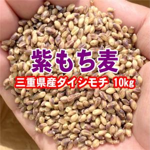 ダイシモチ 紫もち麦 三重県産 900g お試し ポイント利用 送料無料