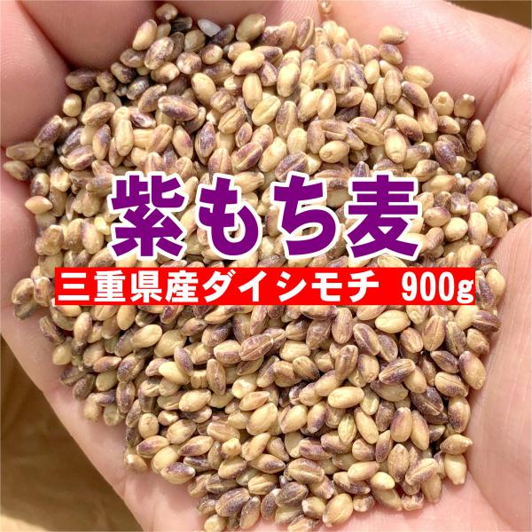 ダイシモチ 紫もち麦 三重県産 900g お試し ポイント利用 送料無料 「三重産紫もち麦900g」