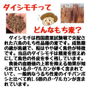 ダイシモチ 紫もち麦 三重県産 900g お試...の詳細画像2