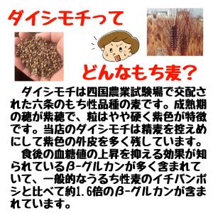 ダイシモチ 紫もち麦 三重県産 4kg(2kg...の詳細画像2