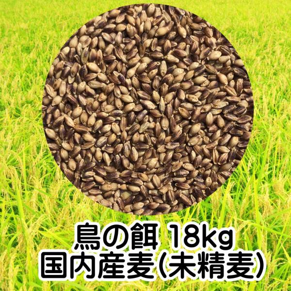 鳥の餌 ハトの餌 ハムスターの餌 国内産もち麦 玄麦 18kg