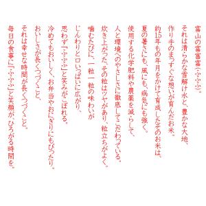 新米 富富富 ふふふ 富山米 10kg 令和8...の詳細画像1