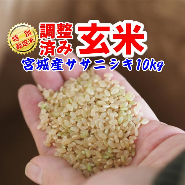 減農薬 玄米 ササニシキ 10kg 令和5年産 特別栽培米 宮城県  精米・分搗き無料