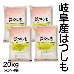 お米 7年産売り尽くし 20kg ハツシモ  大粒 岐阜県産 白米 5kg×2袋「令和7年産 岐阜産はつしも20kg(5kg4袋)」
