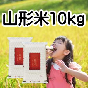 あいちのかおり お米 愛知県産 10kg 令和7年産 白米 5kg×2袋 「愛知産