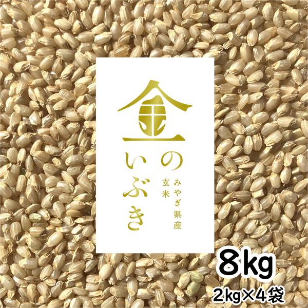 金のいぶき 玄米 8kg 令和5年産 玄米ダイエット 玄米食専用米 宮城県 2kg×4袋