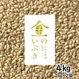 金のいぶき 玄米 4kg 令和5年産 玄米ダイエット 玄米食専用米 宮城県 2kg×2袋｜米屋のこうむら