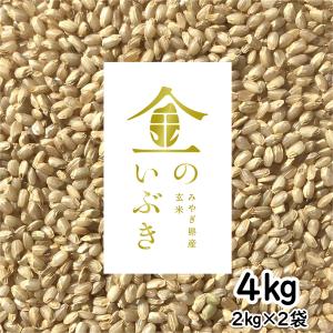 金のいぶき 玄米 4kg 令和6年産 玄米ダイエット 玄米食専用米 「宮城県産金のいぶき 2kg×2袋」