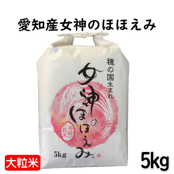 女神のほほえみ 愛知産 5kg 令和5年産 大粒 白米 お中元 ギフト