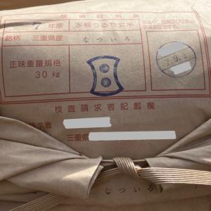 【完売】お米 三重産なついろ 10kg 令和7...の詳細画像2