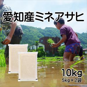 ハツシモ はつしも 寿司米 大粒 岐阜県産 5kg 令和7年産 白米「岐阜産