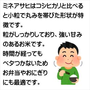 お米 ミネアサヒ 愛知産 10kg(5kg×2...の詳細画像2