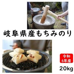 岐阜産もち米(モチミノリ) 20kg(10kg×2) 令和3年産 白米