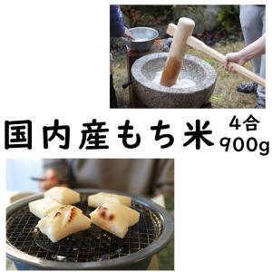 もち米 餅米 900g お試し ポイント消化 国内産｜米屋のこうむら