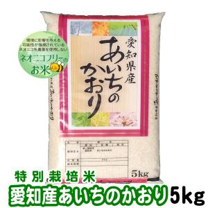 ネオニコフリー 愛知県産あいちのかおり 5kg 令和5年産 白米 特別栽培米｜ko-mura