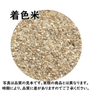 鳥の餌 着色米 エサ 20kg 「着色米20k...の詳細画像1