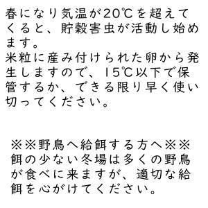 鳥の餌 着色米 エサ 20kg 「着色米20k...の詳細画像4