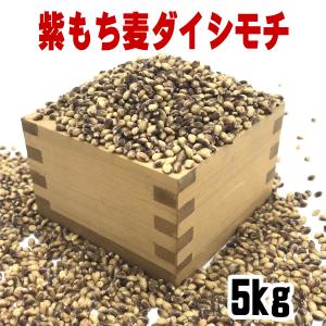 訳あり もち麦 5kg 国産 ダイシモチ 紫もち麦 三重県産