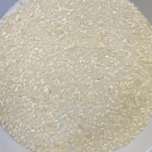 お米 20kg 生活応援 訳あり 小粒な国産米...の詳細画像2