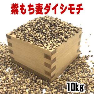 訳あり もち麦 10kg 国産 ダイシモチ 紫もち麦 三重県産