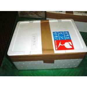 ドライアイス 10kg 冷凍便 発泡スチロール...の詳細画像1