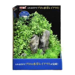 まとめ お気に入り 癒し水景 F L 3セット アクアキャンバス