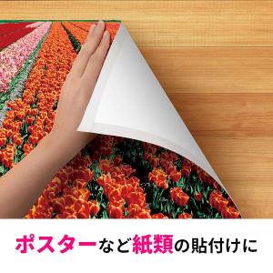 3M(スリーエム) 一般用両面テープ(PGD-...の詳細画像2