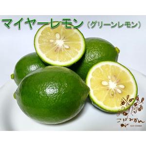 【ꕤ224】熊本県産『優品』20kg マイヤーレモン (国産グリーンレモン) 先行予約 レモン 国産マイヤーレモン 3kg | 熊本県宇城市 | ふるさと