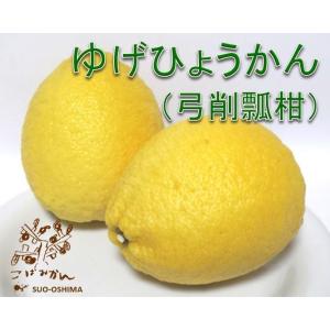 山口周防大島産『弓削瓢柑(ゆげひょうかん) 家庭用 中箱 約3.5kg』サイズ無選別