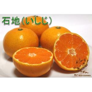 山口周防大島産『石地（いしじ） 家庭用 大箱 約9.5kg』サイズ無選別 (箱込約10kg)