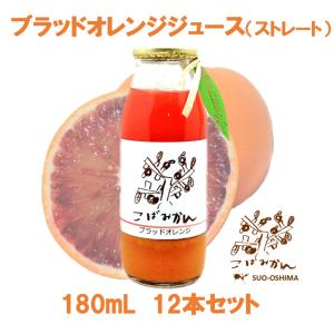 こばみかん! - Yahoo!ショッピング