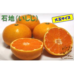 山口周防大島産『石地（いしじ） 家庭用 大箱 約9.5kg』サイズ無選別