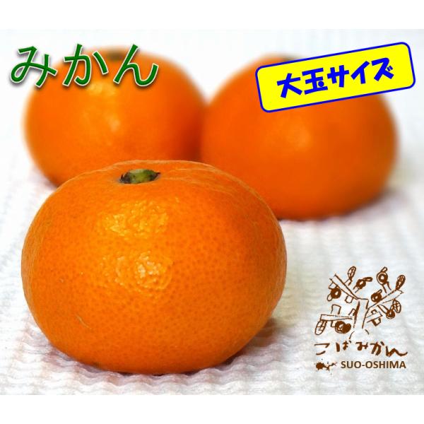 山口周防大島産『大玉みかん(2L~3L) 家庭用 中箱 約4.8kg』(箱込約5kg)