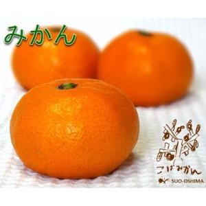 山口周防大島産『みかん 家庭用 大箱 約9.5kg』サイズ無選別 (箱込約