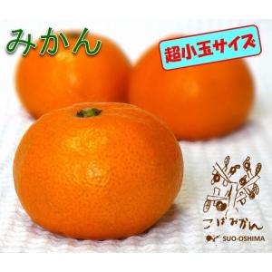 山口周防大島産『超小玉 みかん 家庭用 中箱 約4.8kg』(箱込約5kg)
