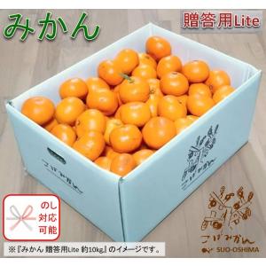 山口周防大島産『みかん 贈答用Lite 中箱 約4.8kg』(箱込約5kg) : こば