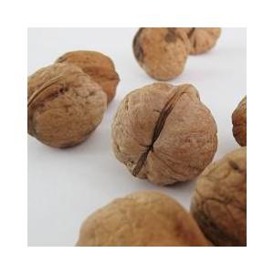 菓子くるみ殻付き　信州産（1kg）