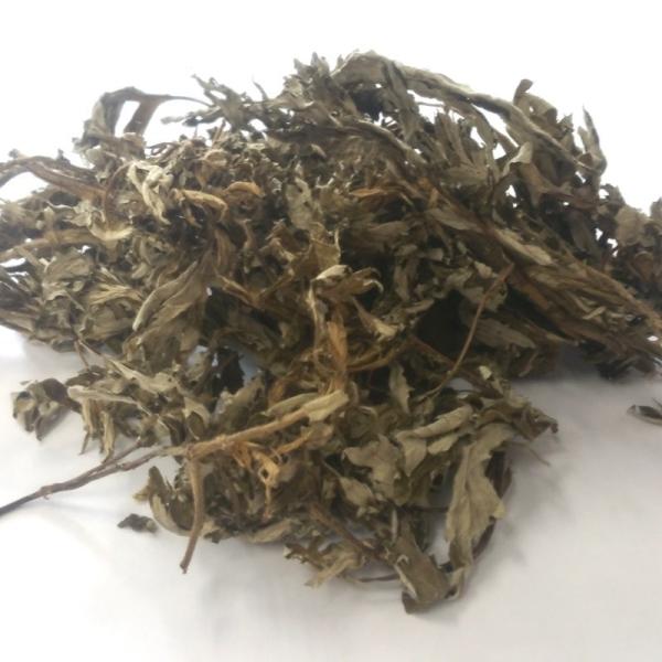 乾燥よもぎ　青森県産　1kg