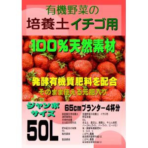 ダークピートモス・納豆菌入り いちご専用 育苗培養土 30L