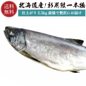 【送料無料】 北海道産 新巻鮭 1本物 2.3kg前後 鮭 サ...