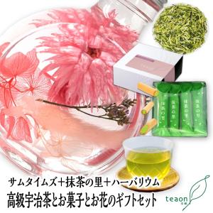 サムタイムズ47g 抹茶の里 ハーバリウム デザ...の商品画像