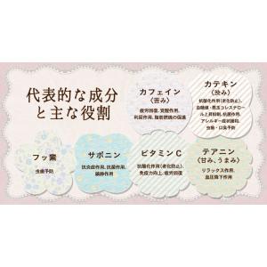 サムタイムズ47g 抹茶の里 ハーバリウム デ...の詳細画像4