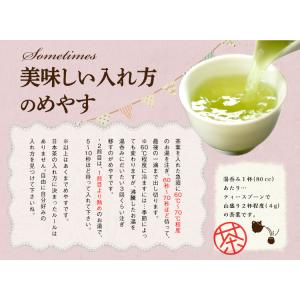 サムタイムズ47g 抹茶の里 ハーバリウム デ...の詳細画像5