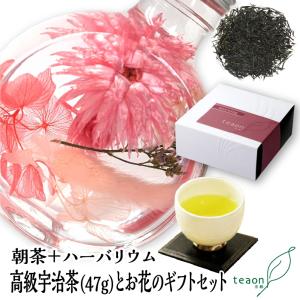 朝茶47g ハーバリウム デザインはお任せ のギフトセット お茶 お花 綺麗 京都 宇治茶 高級緑茶 プレゼント 2026 新生活 母の日 ギフト お誕生日 お土産
