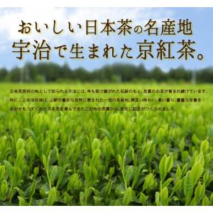 京紅茶70g ハーバリウム デザインはお任せ ...の詳細画像4