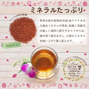 ルイボスティー2g24個 ハーバリウム デザイ...の詳細画像2