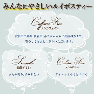 ルイボスティー2g24個 ハーバリウム デザイ...の詳細画像3