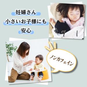 ルイボスティー2g24個 ハーバリウム デザイ...の詳細画像4