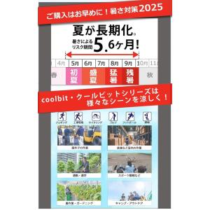 氷で! 保冷剤で!首 冷却 クールビット アイ...の詳細画像3