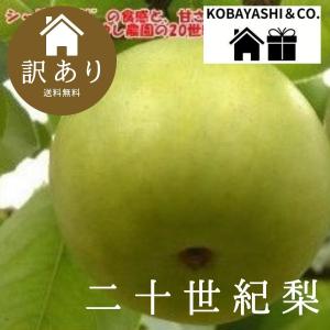 20世紀梨2キロ ご自宅用